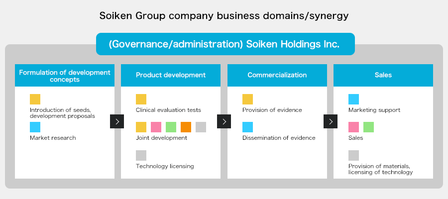 Soiken Group company business domains/synergy